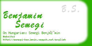 benjamin semegi business card